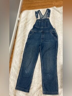 We The Free Women's Dark Blue Denim Overalls